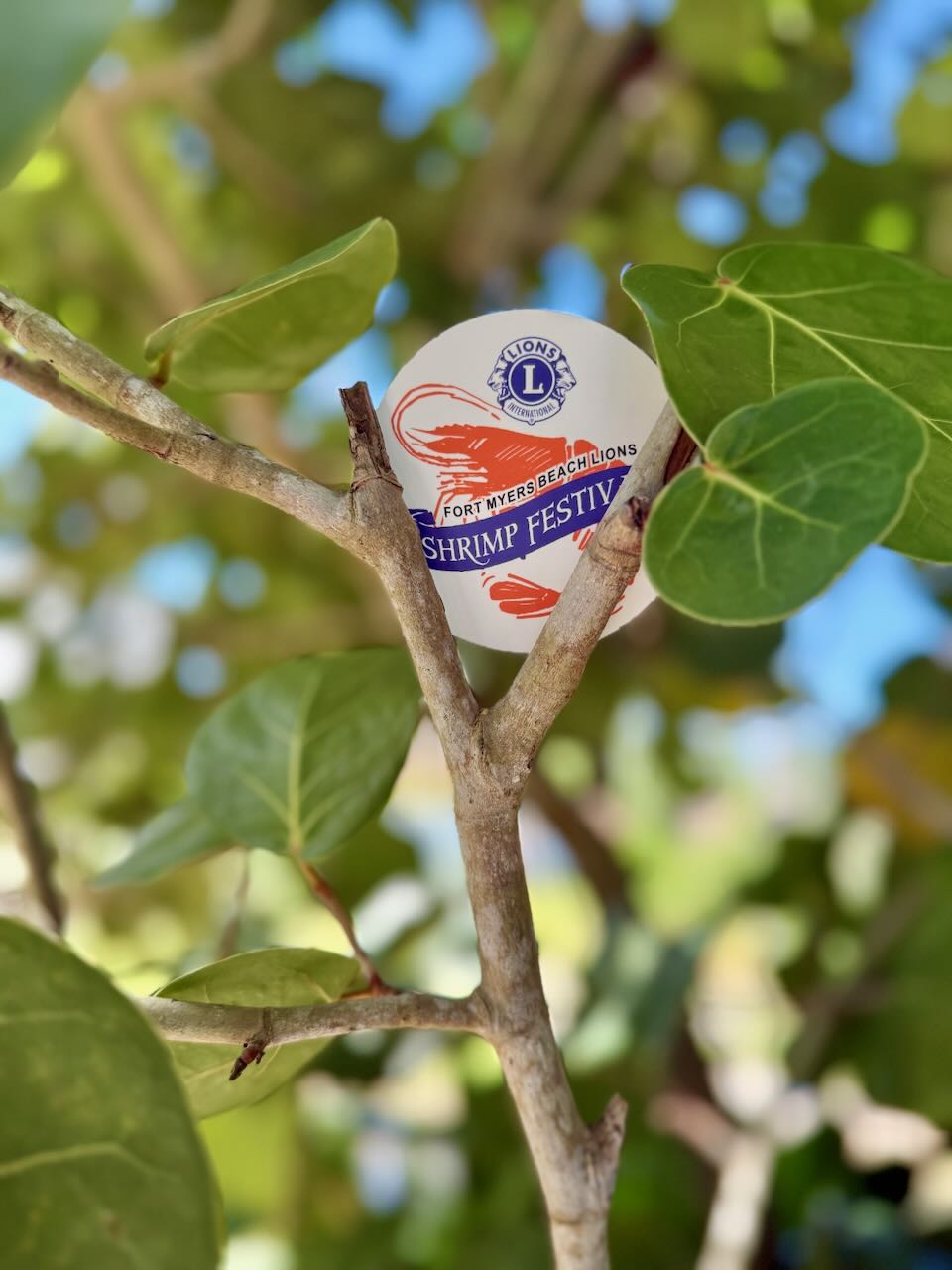 2026 Shrimp Festival Stickers